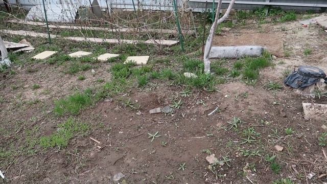 ВЛОГ: ГОТОВЛЮ ГУЛЯШ/ РАЗВИВАШКИ ДЛЯ ГРИШИ/ ЕДЕМ НА ДАЧУ/ ЭКОЛОГИЧЕСКАЯ ПРОБЛЕМА В САРАТОВЕ смотреть онлайн
