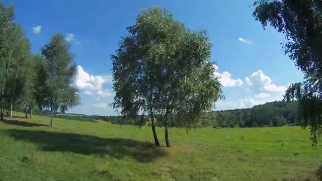 Отдых в лесу и путешествие - Timelapse