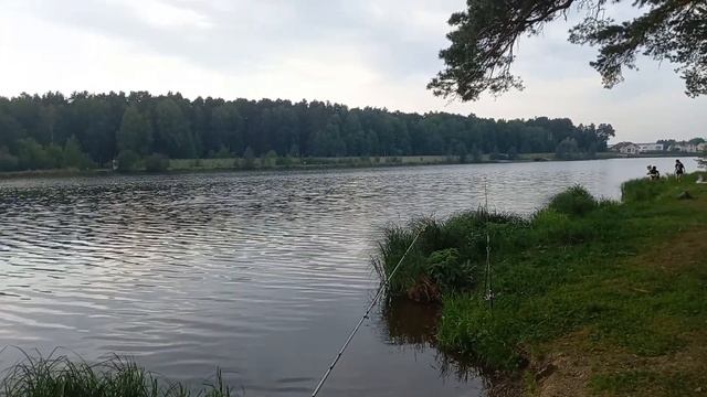 Неожиданно отличная рыбалка на Малоистокском пруду.2 июня 2023 г. смотреть онлайн