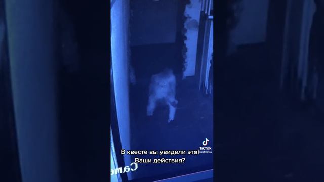 Смотри внимательно! Квест Resident Evil в Минске #квесты #минск смотреть онлайн