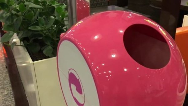 Как стать Eco-friendly | Мои эко привычки | часть 2