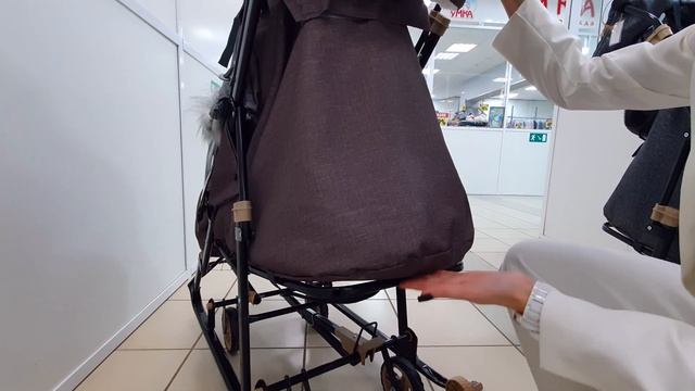 Санки коляска Galaxy Glory Gloss (наш видеообзор)