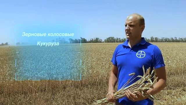 Как выбрать протравитель для зерновых смотреть онлайн