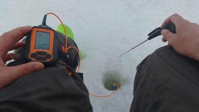 Поклёвки окуня на зимнюю блесну. Смотрим в эхолот Практик 6М