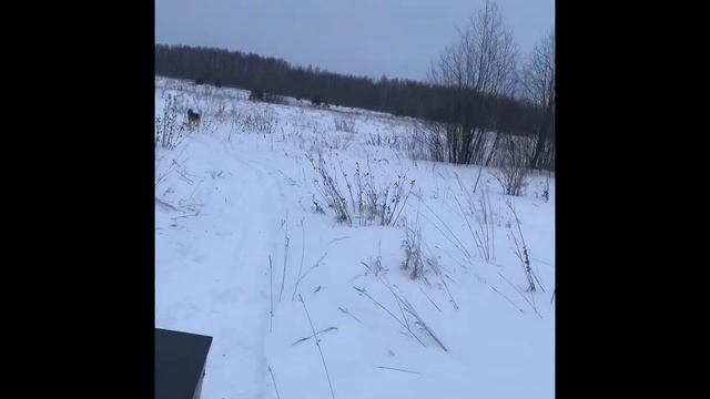 Мотособака своими руками. Лифан 20 сил. (Часть 3) смотреть онлайн