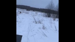 Мотособака своими руками. Лифан 20 сил. (Часть 3)