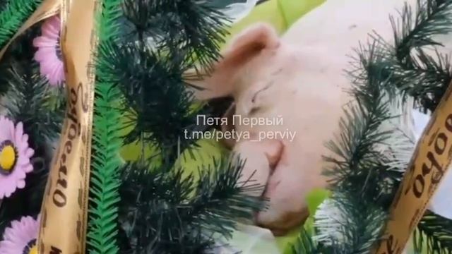 Сергей Николаев