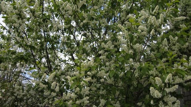 фото природы родного края (Учалы) смотреть онлайн
