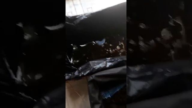 Компост, колифорнийский дождевой червь. смотреть онлайн