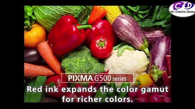 Best Printer Kaon Epson L805 V/S Canon Pixma G570 Photo Studio Ke Liye Best Printer 2022 | Mr. CD смотреть онлайн