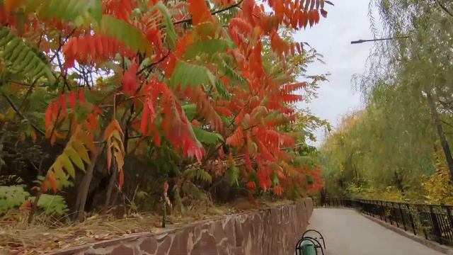 Shymkent | Красавчик Шымкент 2022 | Дендропарк | Казахстан