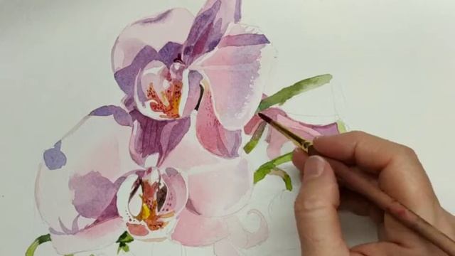 Рисуем орхидею акварелью. смотреть онлайн