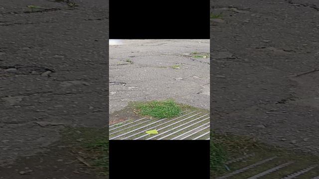 СУПЕР ВЖИК смотреть онлайн
