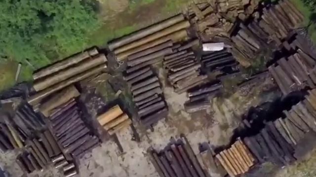 Производство шпона для мебели Lifestyle Unico