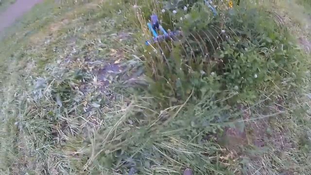 Выпас. Различные способы выпаса коз. смотреть онлайн