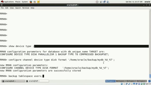 RMAN Defauls Channel backup location lesson 8 смотреть онлайн
