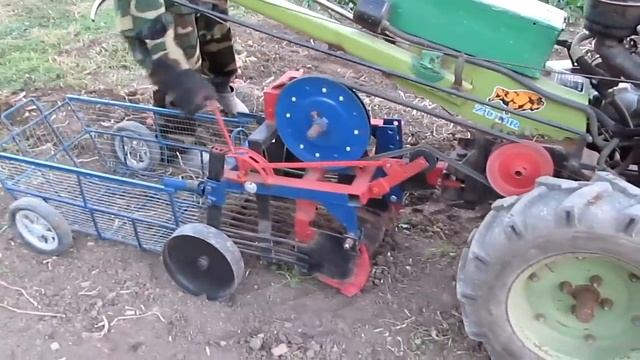 Урожай картофеля второй посадки! смотреть онлайн