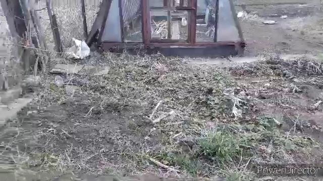 Сезон открыт! Норы кротов! Чудо - лопата - копает сама!!!!!! смотреть онлайн