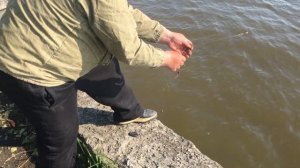 Камень-на-Оби, май 2021