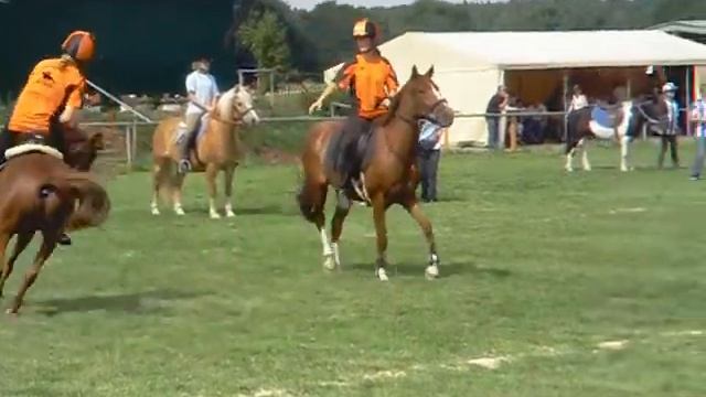 Mounted Games Bad Iburg смотреть онлайн