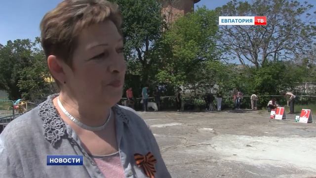 Открытая выставка собак в Евпатории смотреть онлайн