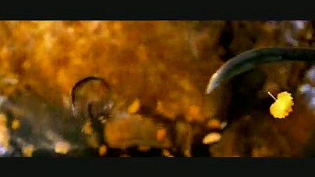 Top 10 Martial Arts Movies