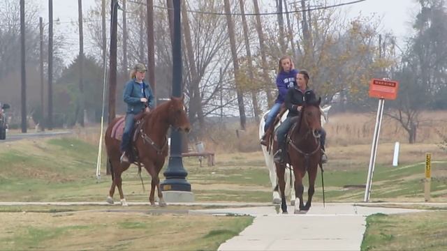 RKE Willys Top PA and Tonys Hope - trail ride - loping/trotting next to road - Valley View Ranch смотреть онлайн