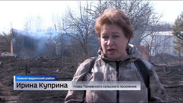 Природный пожар подошел вплотную к дачам недалеко от Тюмени