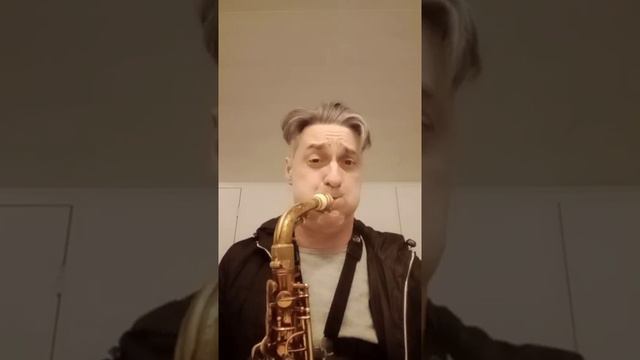 Conn 6M alto med Tonalin mondstuk смотреть онлайн