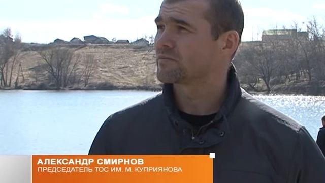 Разведение рыбы в волоконовских прудах смотреть онлайн