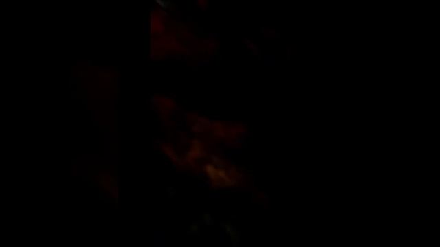 Какие-то 5 бухих школьников съели собаку в лесу смотреть онлайн