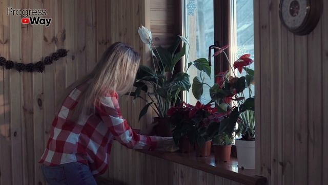 Герань И Фиалки Теперь Цветут В Захлеб! Простейшая Натуральная Подкормка Комнатных Растений! смотреть онлайн