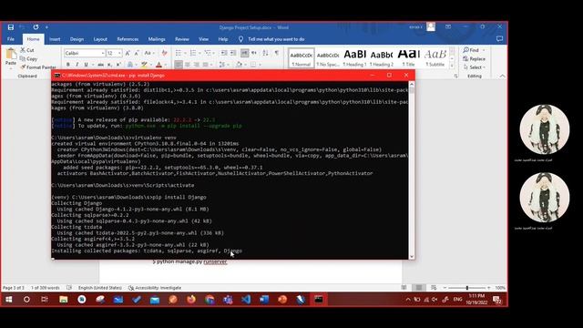 install Owasp & project django смотреть онлайн