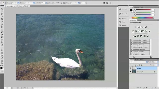 adobe photoshop cs5 extended puppet warp/formgitter смотреть онлайн