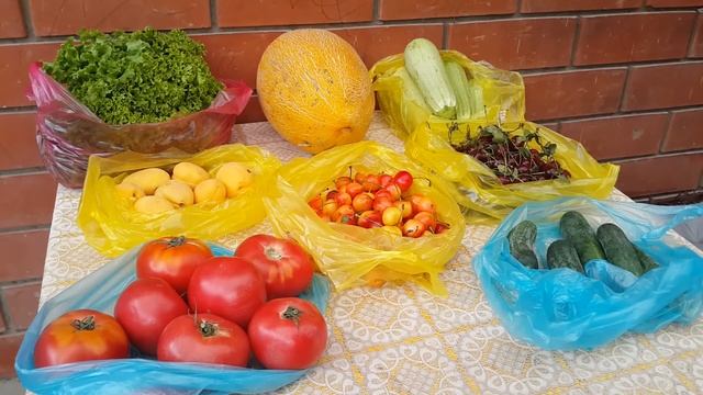 закупка продуктов на месяц магнит & пятерочка | цены на продукты | сколько денег нужно на продукты смотреть онлайн