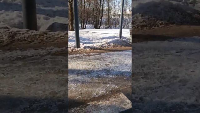 Мск - Мытищи Весенняя велопрогулка 19.03.23 смотреть онлайн
