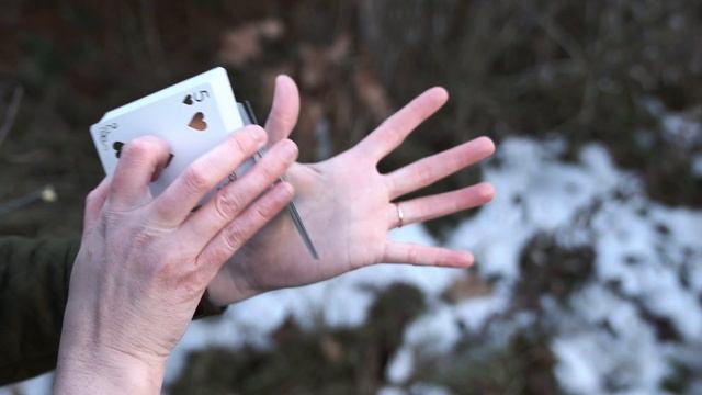 CARDISTRY BASICS - FOX TAIL ? смотреть онлайн