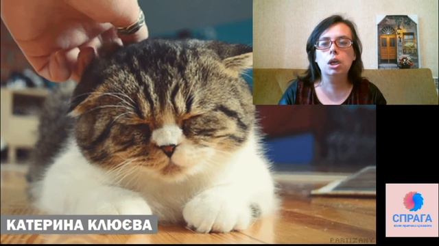 Эти милые домашние животные. смотреть онлайн