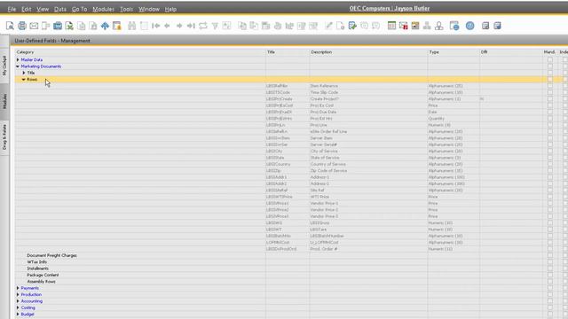 SAP Business One How To: Adding User-Defined Fields смотреть онлайн