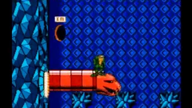 Battletoads Level 6: Snake Pit (NES)