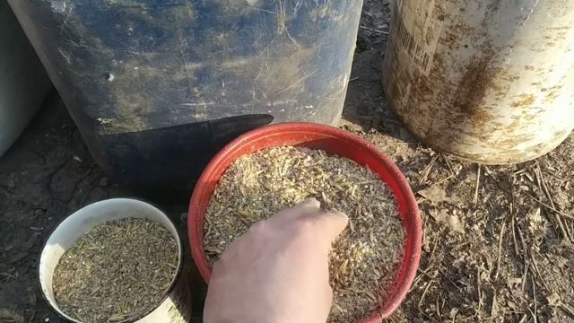 Как сделать КОМБИКОРМ ДЛЯ НЕСУШЕК, смотреть онлайн