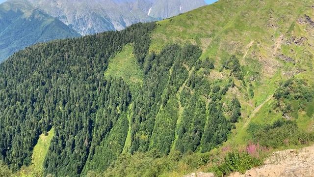 Как покосить ТРАВУ на высоте 1000 метров / Профессия волонтёр смотреть онлайн