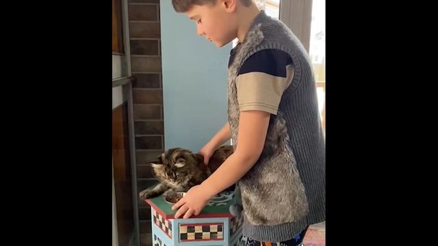 Наша киска заболела смотреть онлайн
