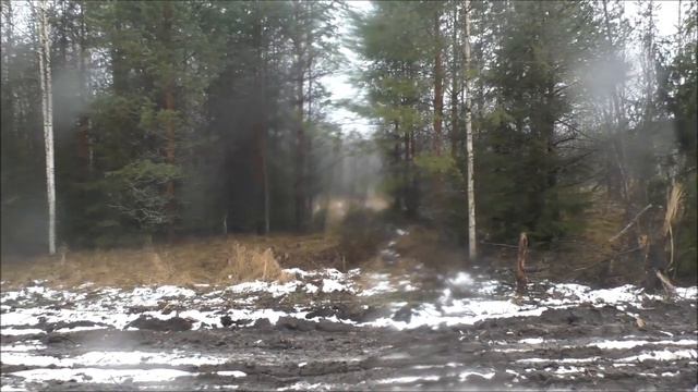 Русская гончая Фея вл.  Шатров Е. А.