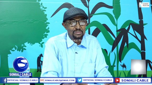 Daawo:- Maxaad ka taqaan qisada heesta HADAAN REER LAWADA DHISIN JACEYL LABO ISRAADSANIN смотреть онлайн