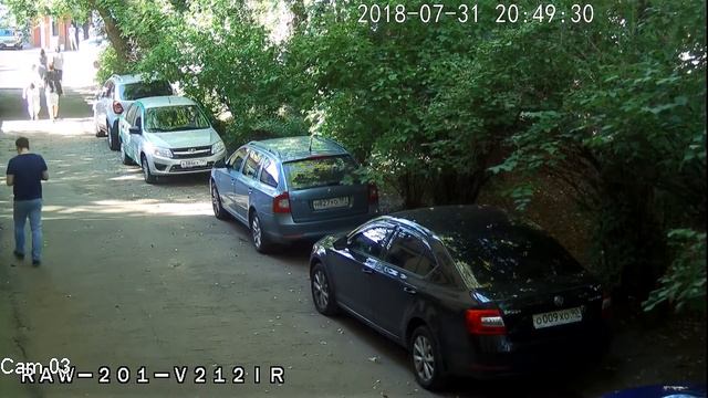 HD-камера Arax RAW-201-V212ir День смотреть онлайн