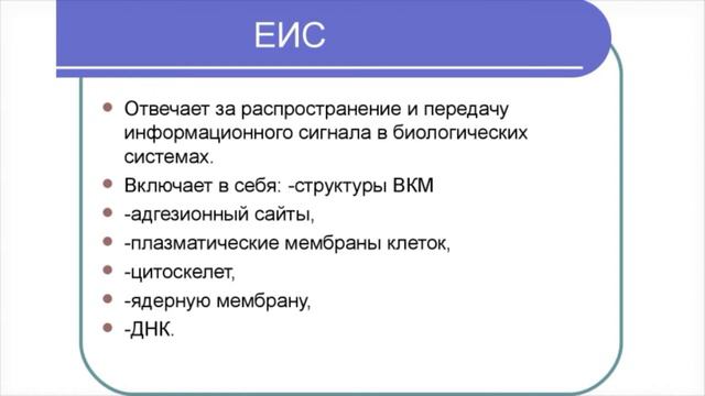 Виоргоны-фито.  Вводная информация.  Севостьянова Т.И. 16.01.2020