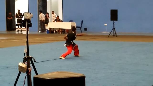 Wushu sri lanka смотреть онлайн