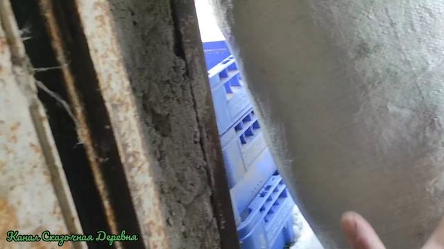 Георгины отменяются, почта, колбаска и кудряшки. смотреть онлайн