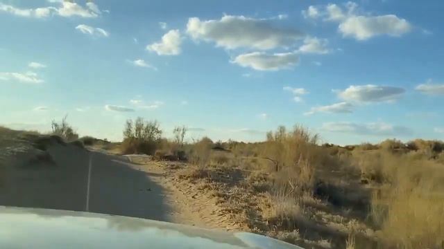 В дороге с М.С. Норбековым о музыке смотреть онлайн